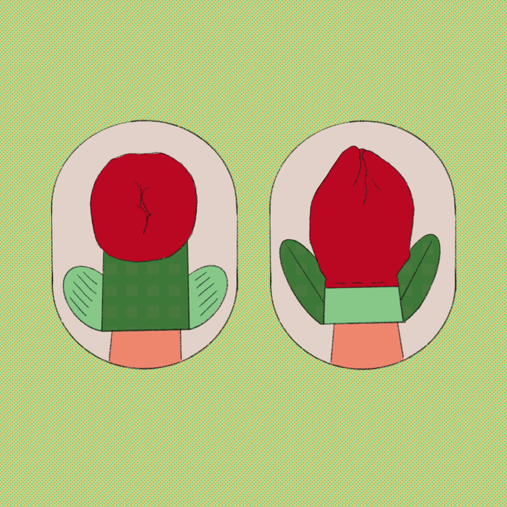 Chou's snapshot animations emphasise the “simple” shape and